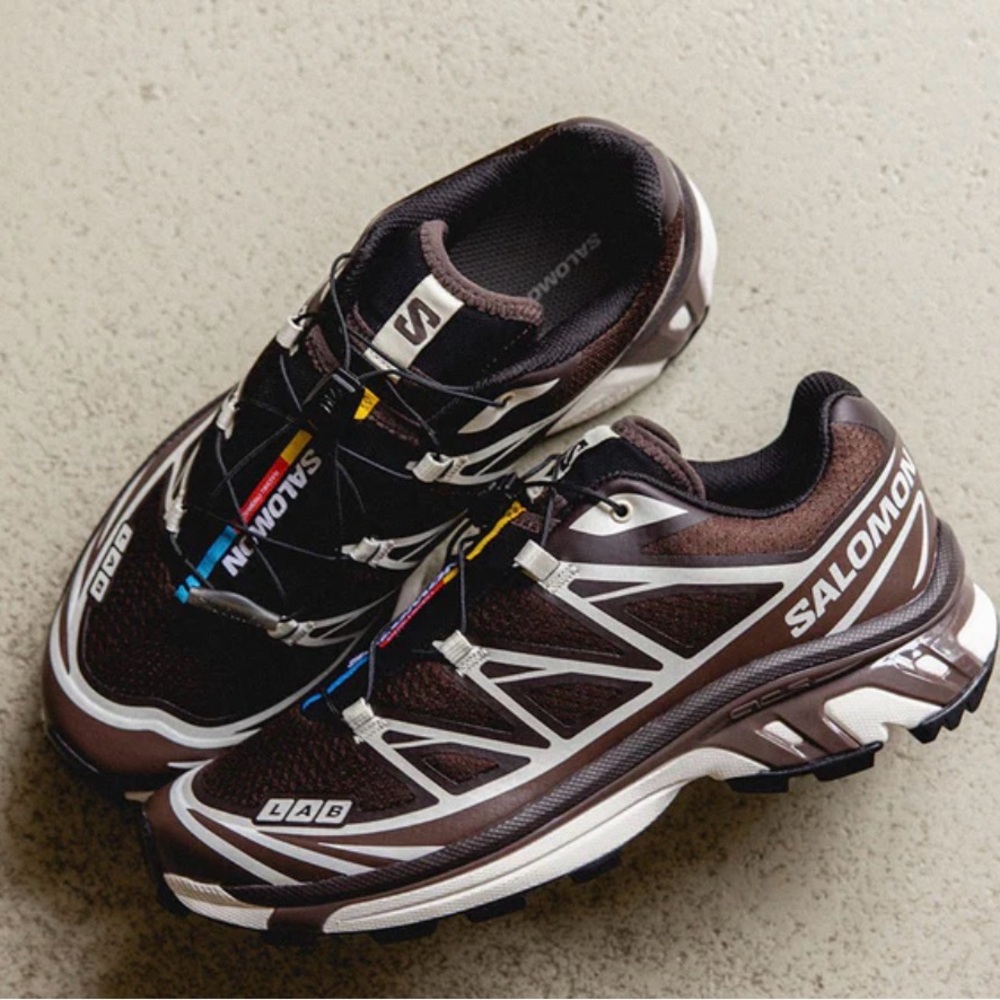 Salomon Dark Brown Trail Shoes with White Accents